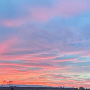 Meet your Posher, Gianna